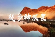 4日 | 徒步神農架 | 老君山賞杜鵑花